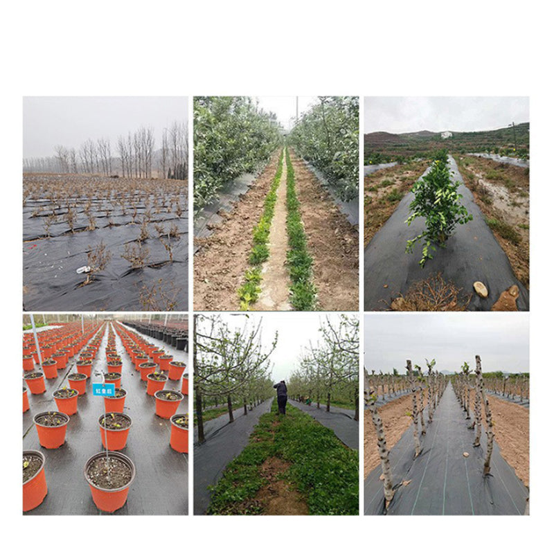 đ± Schwarzes Unkrautvlies fĂŒr Garten & Beet â StrapazierfĂ€hige Unkrautfolie