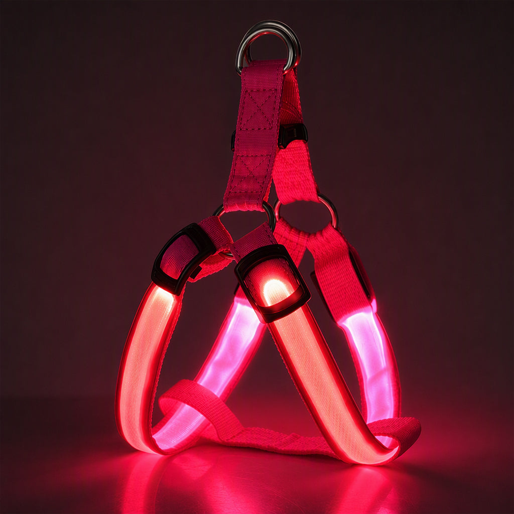 🐕 50 % Rabatt!! 💡LED-Hundeharness mit Leuchtfunktion für Spaziergänge bei Nacht