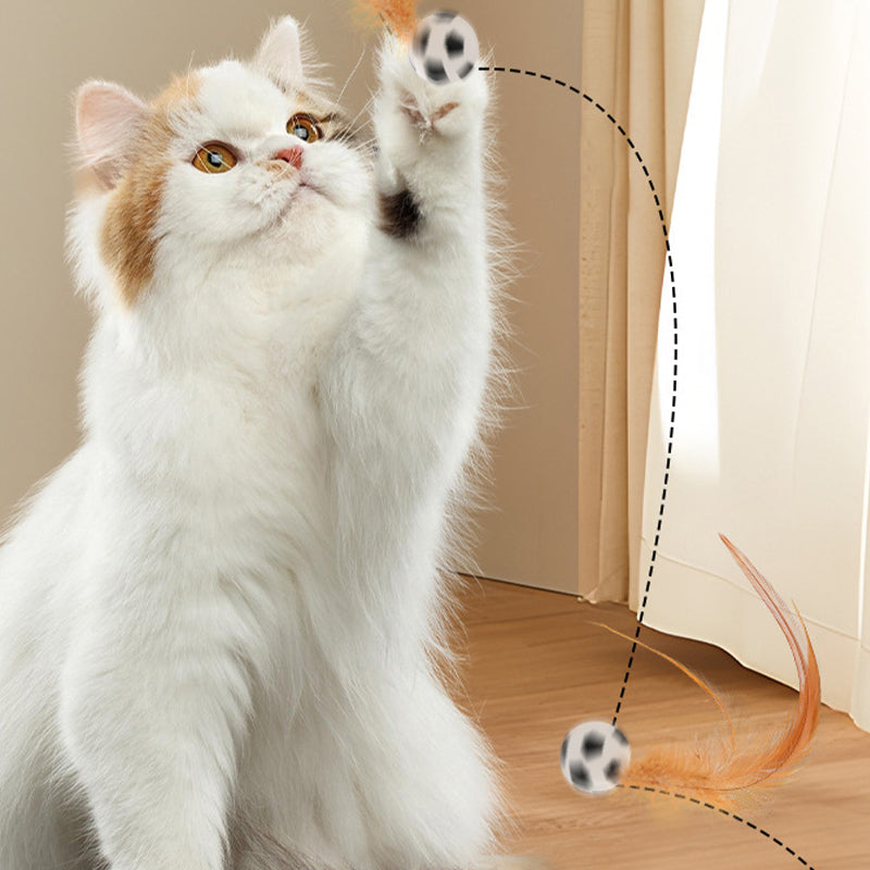🔥Solange der Vorrat reicht 50 % Rabatt!🎉Interaktiver Katzen-Hüpfball mit Feder