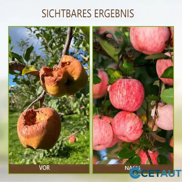 🌱🔥 LIMITIERT: -50% 💥 ECOCERT zertifizierte Bodenpflege – stärkt den Boden & fördert kräftiges Pflanzenwachstum 🌿