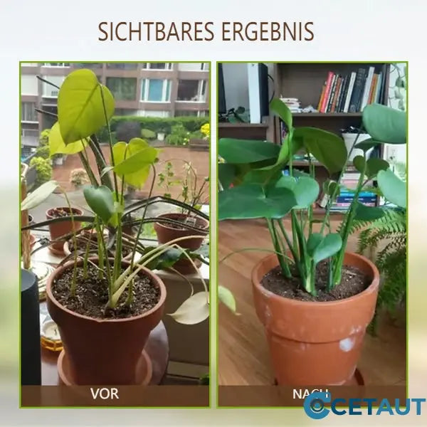 🌱🔥 LIMITIERT: -50% 💥 ECOCERT zertifizierte Bodenpflege – stärkt den Boden & fördert kräftiges Pflanzenwachstum 🌿