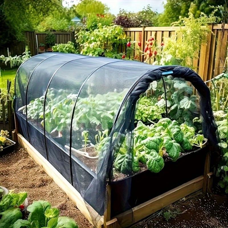 🛡️ Pflanzenschutznetz für Beet & Garten – schützt Obst, Gemüse & Beeren vor Vögeln & Insekten, atmungsaktiv & wiederverwendbar 🌿🍓
