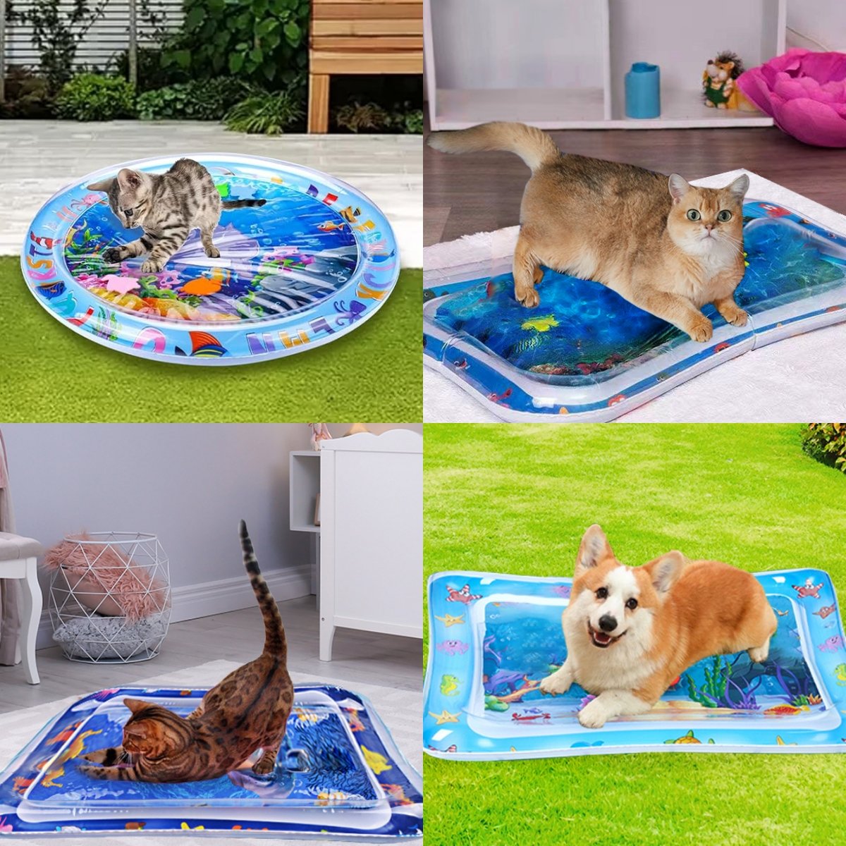 😻Wassermatte für Haustiere – interaktives Spielzeug mit schwimmenden Fischen + kühlende Sommermatte