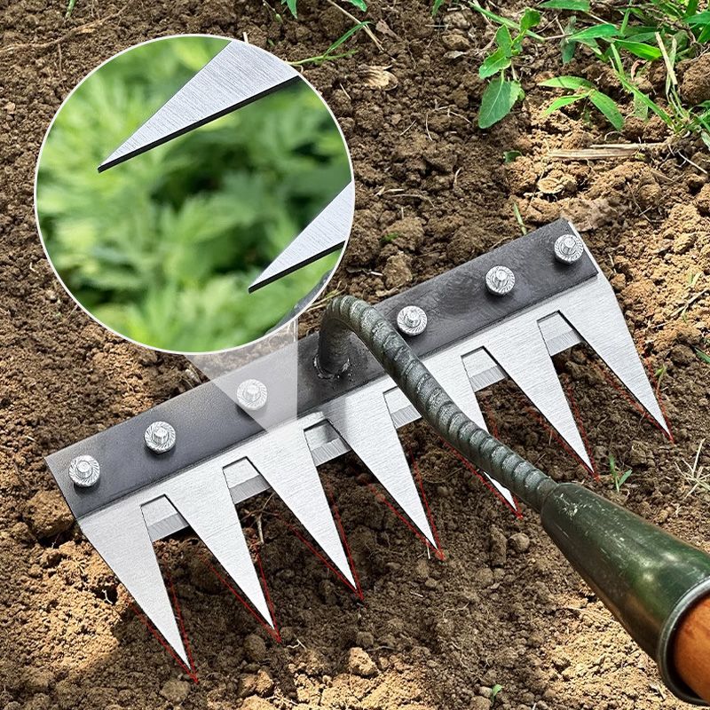 🔥🌿 Nur für kurze Zeit 50% Rabatt! 🌱 Unkrautrechen aus Kohlenstoffstahl mit 5/6/7/8 Zinken – liegt gut in der Hand, rechnet das Unkraut bis zum Boden ab und zieht es mit der Wurzel heraus! 🧤✨