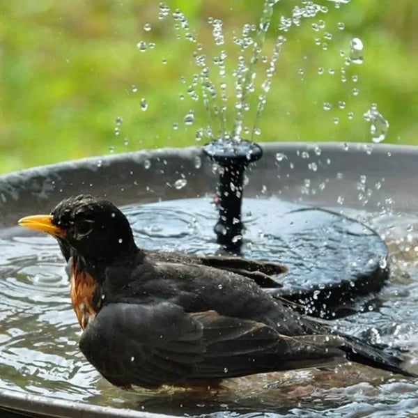 ✨Solarbetriebene schwimmende Fontäne, geeignet für Miniatur-Gartensprinkler, Steingärten und Teiche im Freien✨