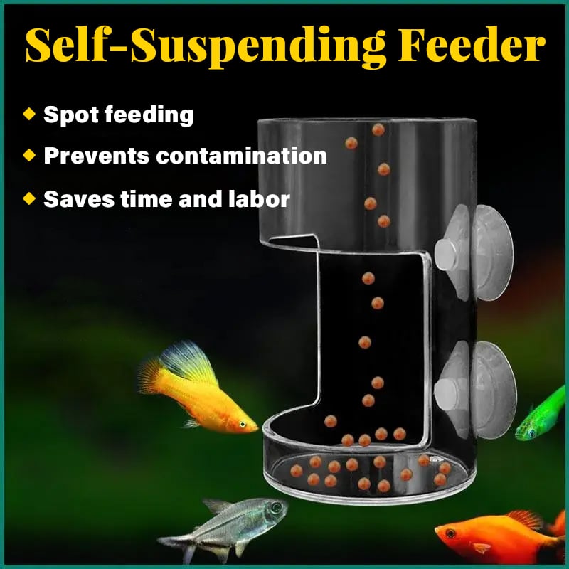 ⏳Begrenzte Zeit 50% Rabatt💥🐟Aquarien-Futterring und Schale