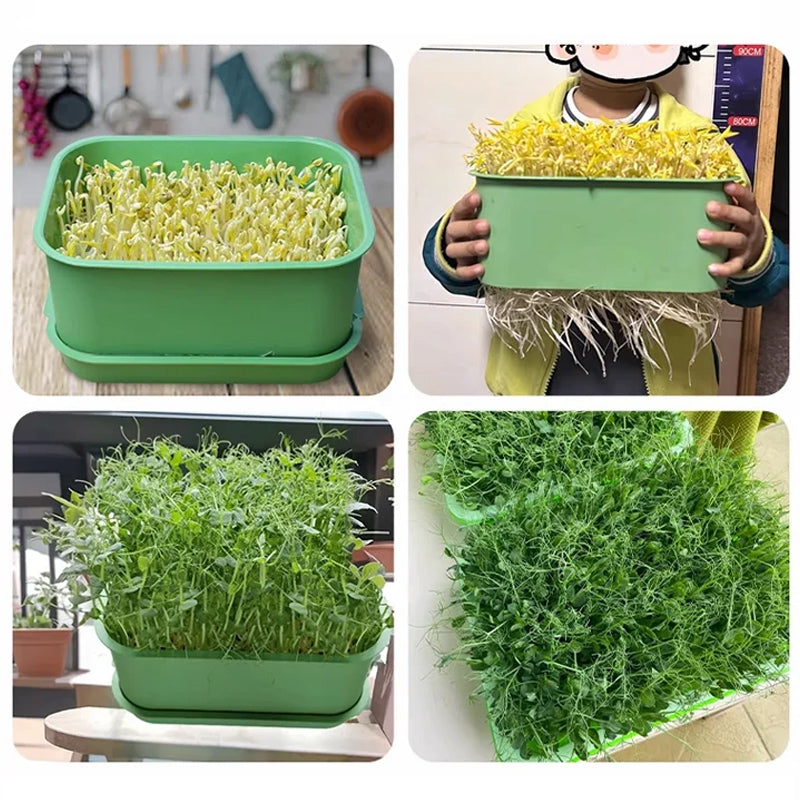 🌱💚Stapelbare Keimsaat-Anzuchtbox🎉 Zweites zum halben Preis! Mehrschichtiges Design, perfekt für den Heimanbau, gesundes grünes Leben!