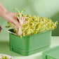 🌱💚Stapelbare Keimsaat-Anzuchtbox🎉 Zweites zum halben Preis! Mehrschichtiges Design, perfekt für den Heimanbau, gesundes grünes Leben!
