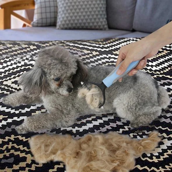 ✨🔥Fellbürste für Katzen und Hunde