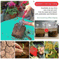 🌱🔥 LIMITIERT: -50% 💥 ECOCERT zertifizierte Bodenpflege – stärkt den Boden & fördert kräftiges Pflanzenwachstum 🌿