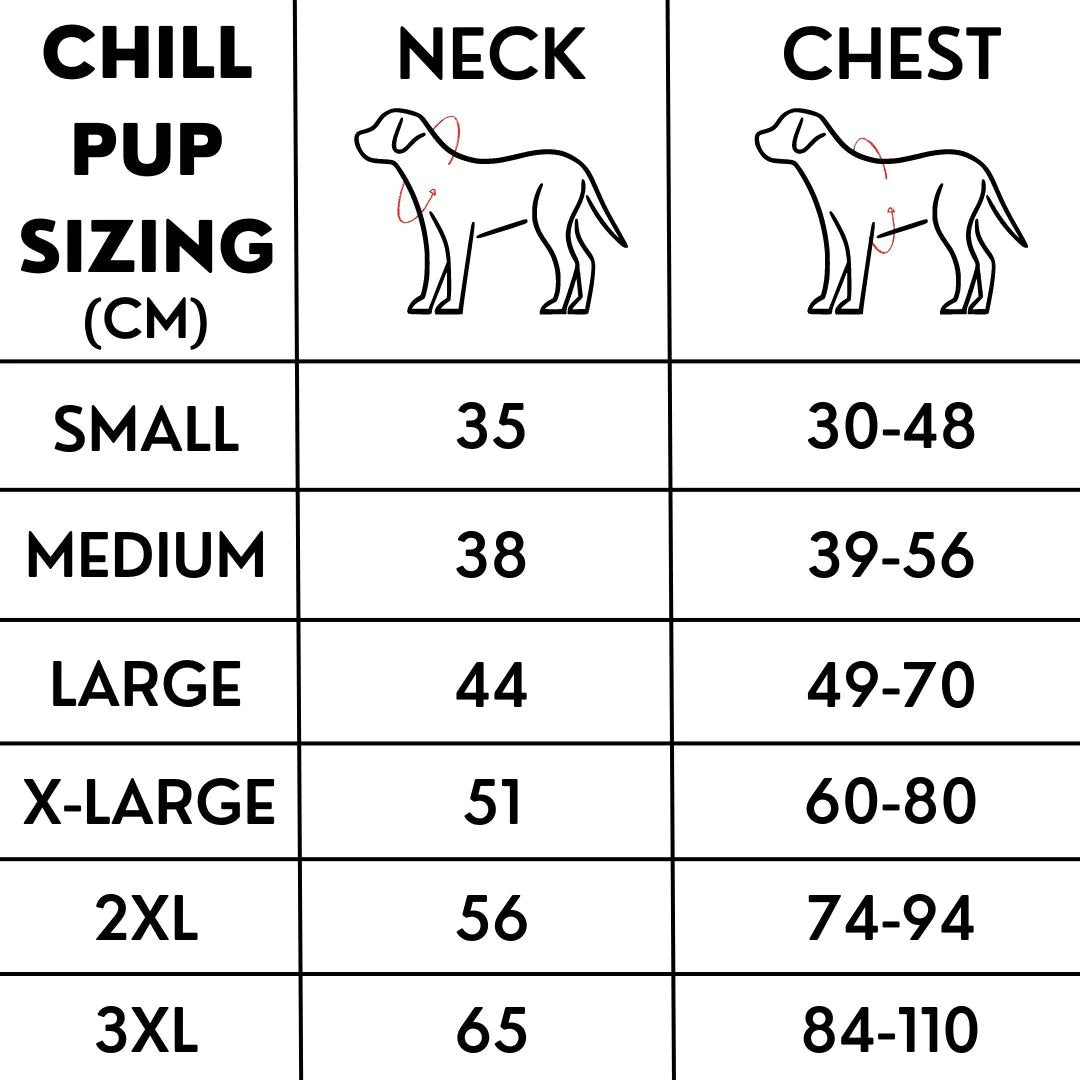 🔥 Letzter Tag -50% ❄️🐾 Kühlweste für Hunde im Sommer