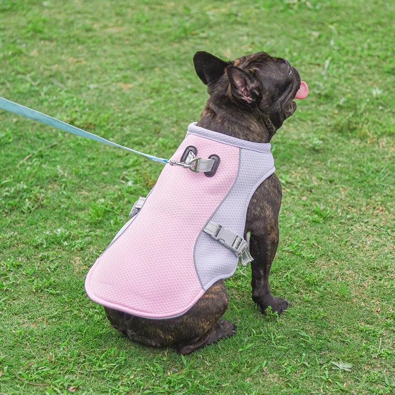 🔥 Letzter Tag -50% ❄️🐾 Kühlweste für Hunde im Sommer