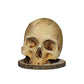 💀Halloween-Überraschung - bis zum halben Preis🎃Kreativer Totenkopf-Messerhalter aus Harz