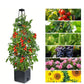 ⏳Limitiertes 50 % Rabatt⏰Selbstbewässerndes Tomaten-Pflanzset mit Kletterpflanzenhalter🍅