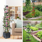 ⏳Limitiertes 50 % Rabatt⏰Selbstbewässerndes Tomaten-Pflanzset mit Kletterpflanzenhalter🍅