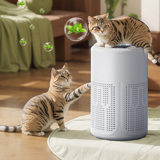 🌀Luftreiniger für Zuhause🌿Inklusive Filter und Aromatherapie-Tabletten