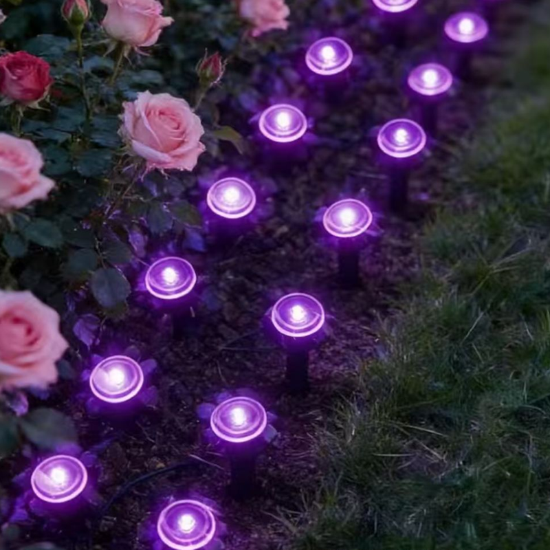🔥Solange der Vorrat reicht 50 % Rabatt!🎉Solarbetriebene Gartenwegleuchten