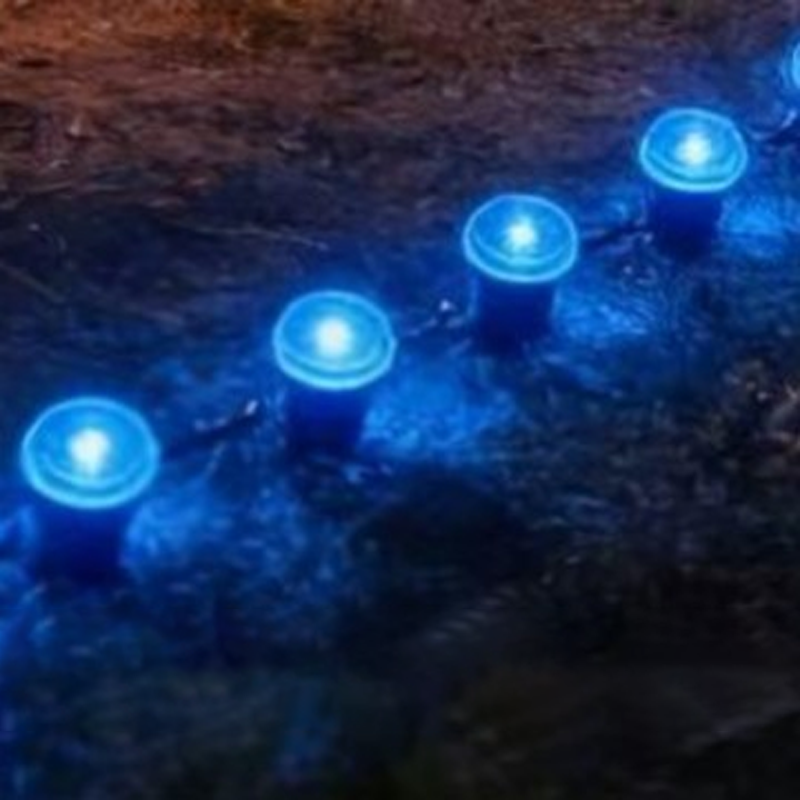 🔥Solange der Vorrat reicht 50 % Rabatt!🎉Solarbetriebene Gartenwegleuchten