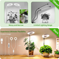 LED-Engelsring-Pflanzenwachstumslampe