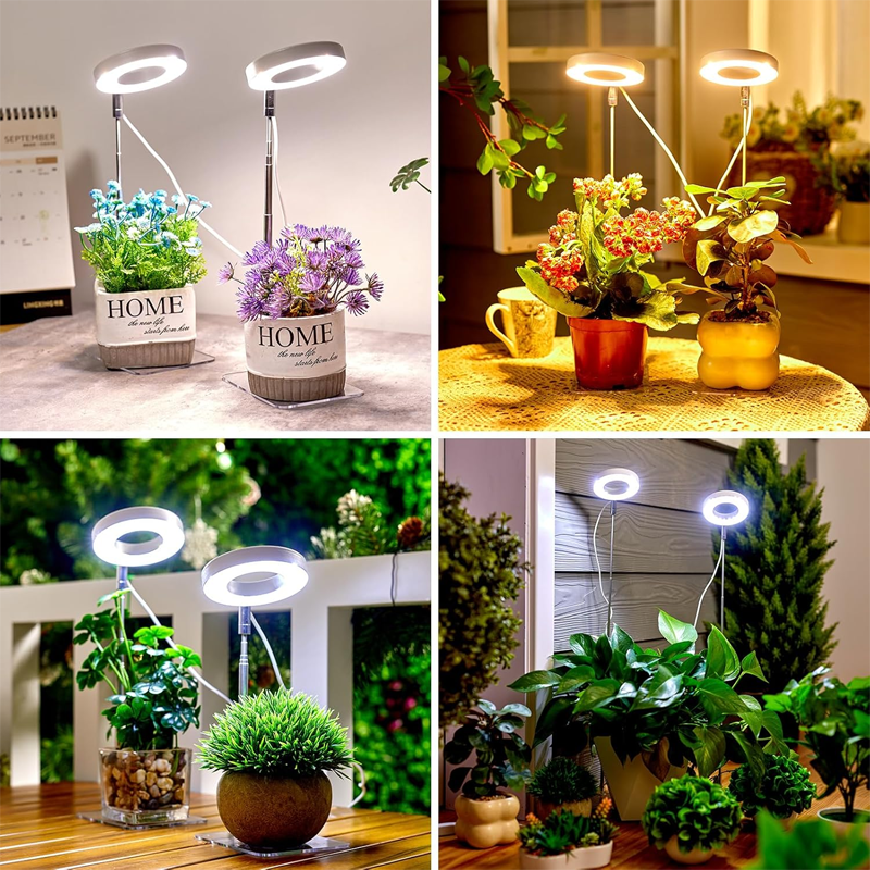 LED-Engelsring-Pflanzenwachstumslampe