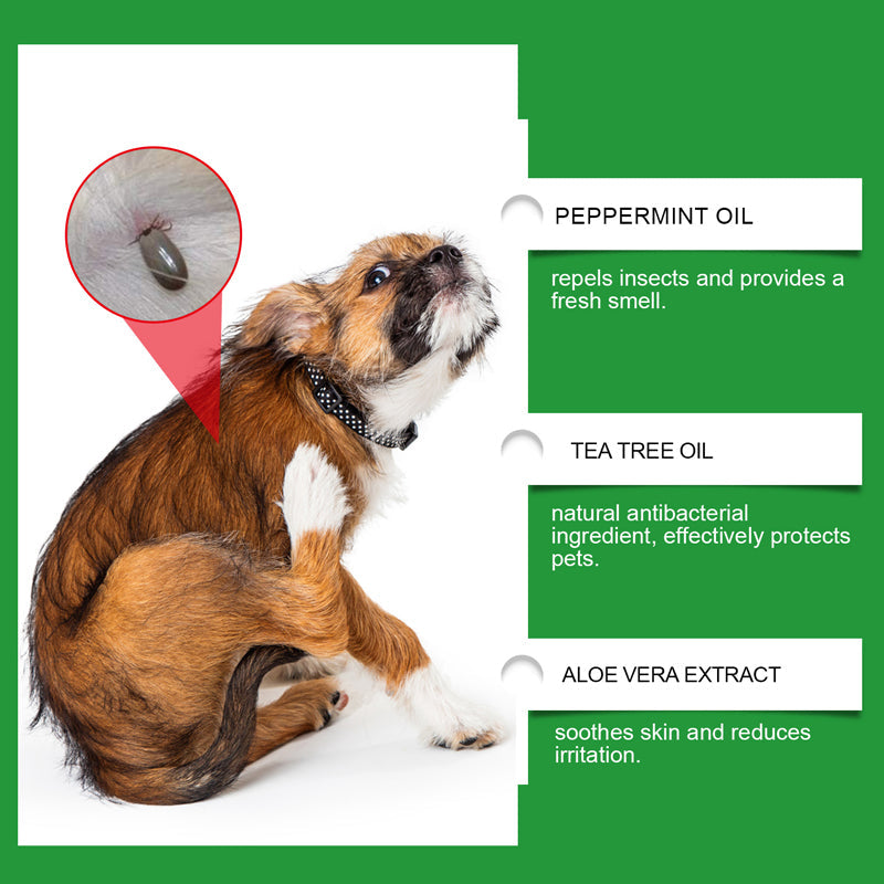 🍃Natürliches Floh- und Zeckenspray für Hunde und Katzen🐾 Schützen Sie Ihr geliebtes Haustier vor Schädlingen