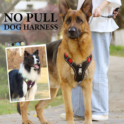 📢📢50 % RABATT !! ⏰Hundegeschirr ohne Zugkraft mit Leine und Halsband mit LED