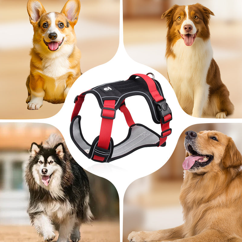 📢📢50 % RABATT !! ⏰Hundegeschirr ohne Zugkraft mit Leine und Halsband mit LED