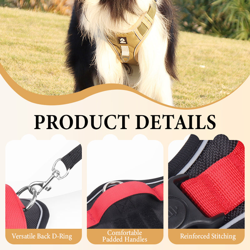 📢📢50 % RABATT !! ⏰Hundegeschirr ohne Zugkraft mit Leine und Halsband mit LED
