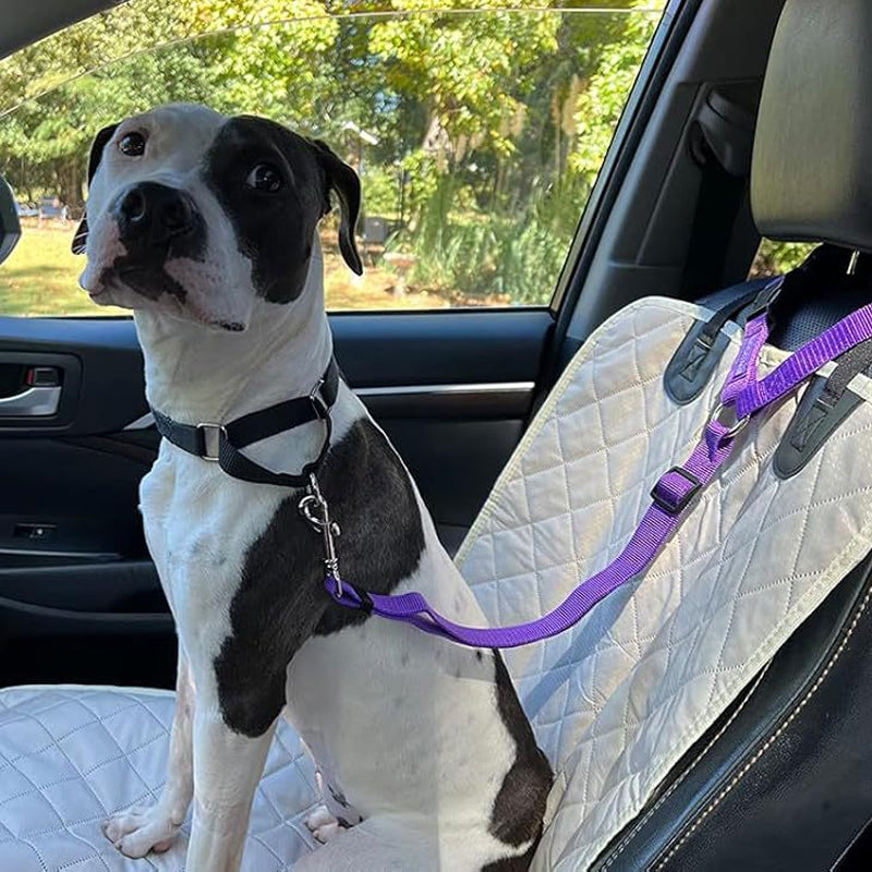 🐕🦺 Sicherheitsgurt & Leine 2-in-1 – Auto, Zug, Spazieren 🐾🐕 verstellbar, reflektierend, crashgetestet – für ruhige & aktive Hunde – JETZT sparen!