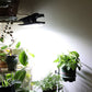 ☀️ 🔦 Solar-Außenleuchten mit Bewegungsmelder – Kabellos, wasserdicht & perfekt für Einfahrt, Garten und Terrasse 🌙 ✨