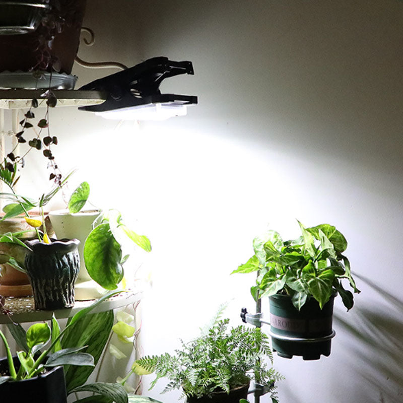☀️ 🔦 Solar-Außenleuchten mit Bewegungsmelder – Kabellos, wasserdicht & perfekt für Einfahrt, Garten und Terrasse 🌙 ✨