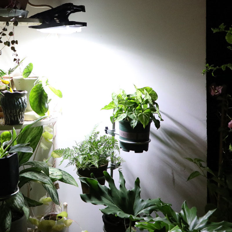 ☀️ 🔦 Solar-Außenleuchten mit Bewegungsmelder – Kabellos, wasserdicht & perfekt für Einfahrt, Garten und Terrasse 🌙 ✨