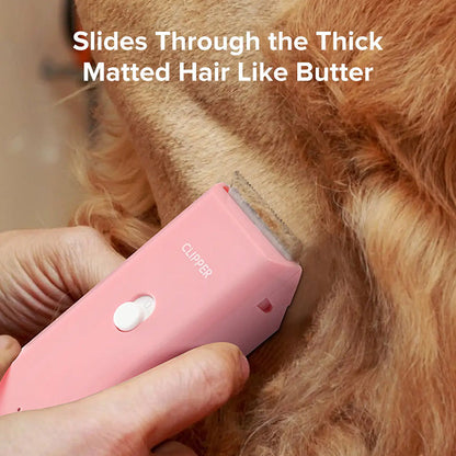 ✂️ 50% RABATT! 🐶 Leise Tierhaarschneidemaschine – Für Hund & Katze, wasserdicht & wiederaufladbar – Kabellos, sicher & perfekt für empfindliche Pfoten, Gesicht und Fellpflege zu Hause 🐱