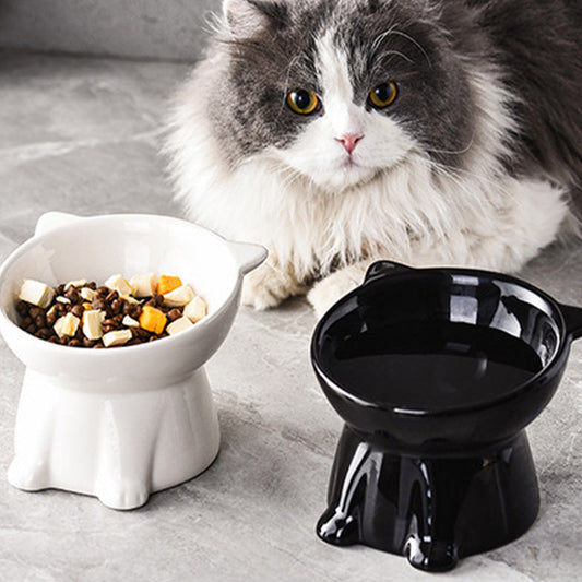 🐱 Erhöhter Kunststoff-Fressnapf für Katzen 🥣 Ergonomisches Design für Komfort beim Fressen