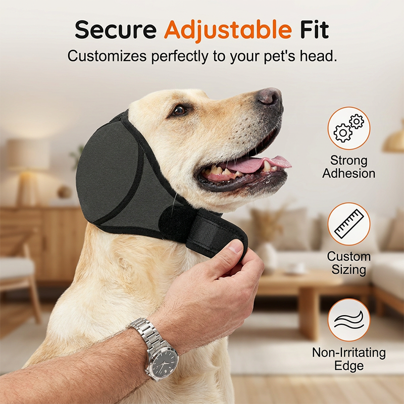 🐕 1 KAUFEN, 1 GRATIS DAZU! 🧢 Wasserdichter Hunde-Hoodie – Beruhigender Sitz & wetterfest für jedes Abenteuer ✨