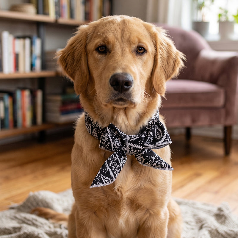 📢📢50 % RABATT!! ⏰❄️ Kühlender Sommer-Schal für Hunde & Katzen – niedliches Cartoo❄️n-Design, als Geburtstags-Accessoire & praktische Kühlhilfe an heißen Tagen 🐾❄️