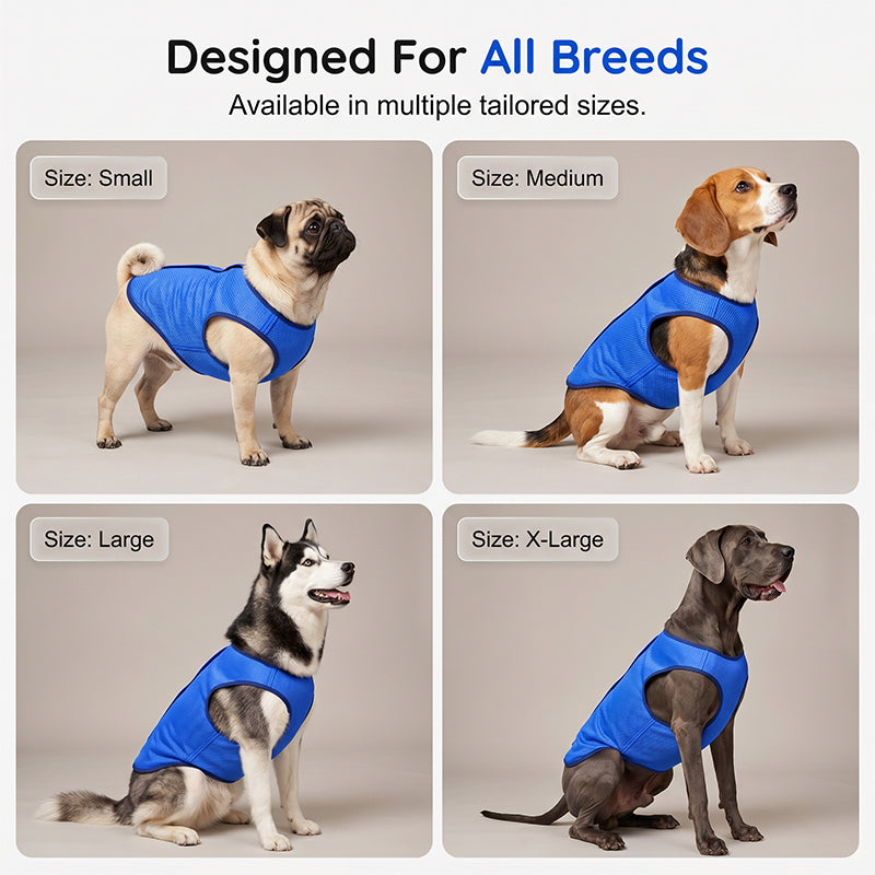 🐶 ZEITLICH BEGRENZT 50% RABATT! ✨ Kühlweste für Hunde – Atmungsaktives Mesh, Hitzeschutz, Aktive Haustiere 🌊