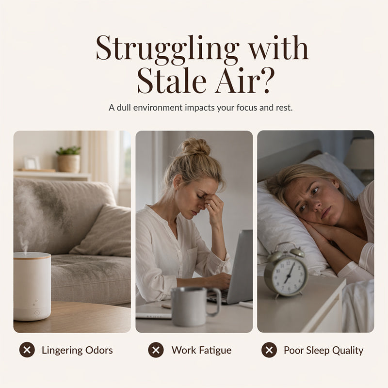 🔥 Heute -50 %! 🌸 12er Set wasserlösliche Duftöle