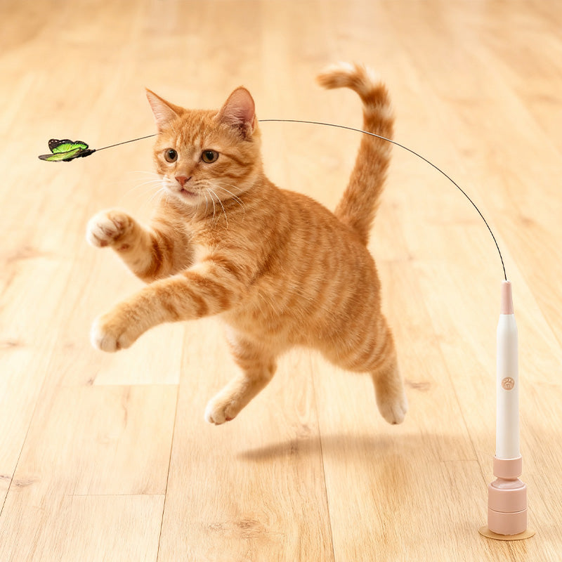 ✨🎁 50% RABATT! 🐱 Interaktives Katzenspielzeug mit Saugnapf und Angelrute, fördert Bewegung, leicht zu befestigen, unterhält Ihre Katze stundenlang🦋🐾