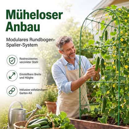 🌿 50% RABATT! 🌱 Stabiles Bogen-Rankgitter – Robust, witterungsbeständig & einfach zu montieren – Ideal für Kletterpflanzen, Rosen & Gartengestaltung 🏡
