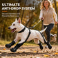🐾 Wasserdichte Hundeschuhe mit verstellbarem Hosenträgergurt – Anti-Rutsch & Anti-Verlier