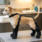 🐾 Wasserdichte Hundeschuhe mit verstellbarem Hosenträgergurt – Anti-Rutsch & Anti-Verlier
