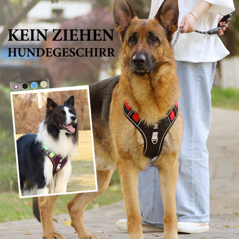 🐕 50% RABATT! ✨ Anti-Zug-Geschirr mit Leine für große & mittelgroße Hunde – reflektierend, gepolstert & bequem beim Gassi