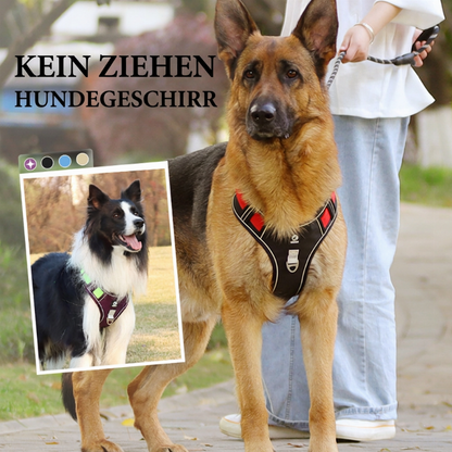 🐕 50% RABATT! ✨ Anti-Zug-Geschirr mit Leine für große & mittelgroße Hunde – reflektierend, gepolstert & bequem beim Gassi