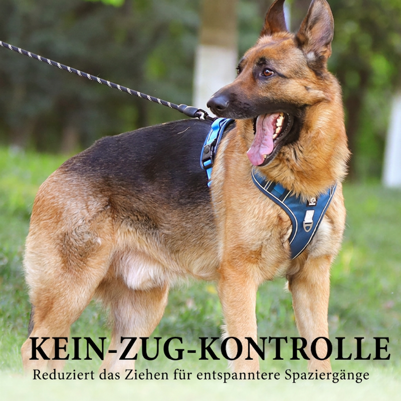 🐕 50% RABATT! ✨ Anti-Zug-Geschirr mit Leine für große & mittelgroße Hunde – reflektierend, gepolstert & bequem beim Gassi