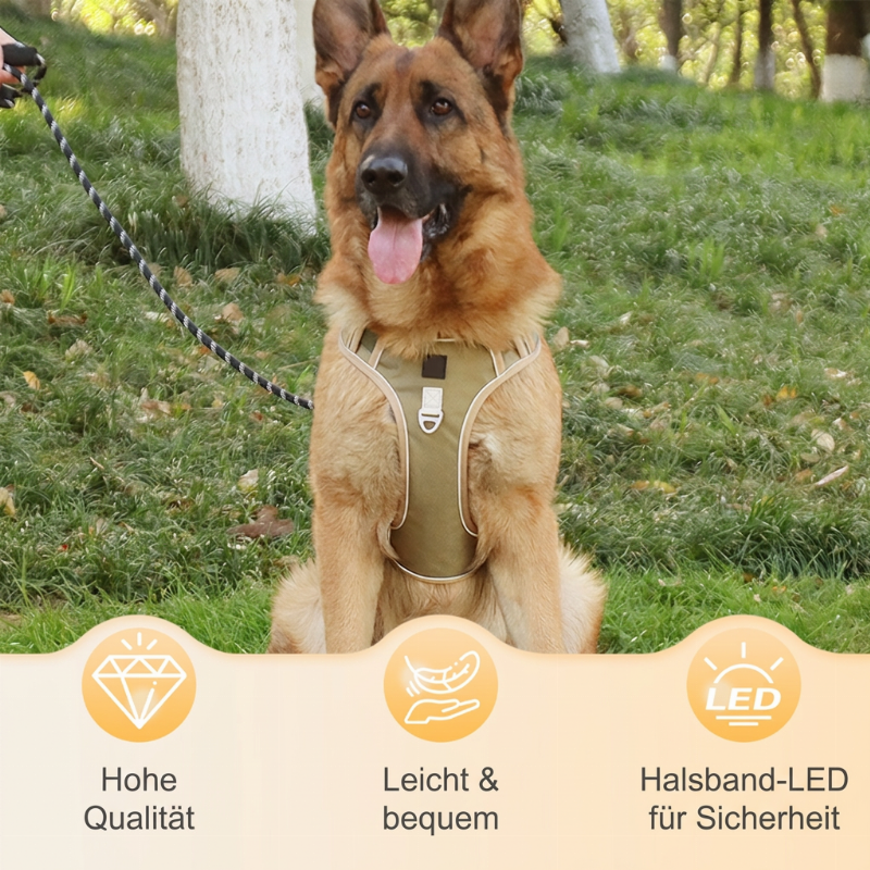 🐕 50% RABATT! ✨ Anti-Zug-Geschirr mit Leine für große & mittelgroße Hunde – reflektierend, gepolstert & bequem beim Gassi