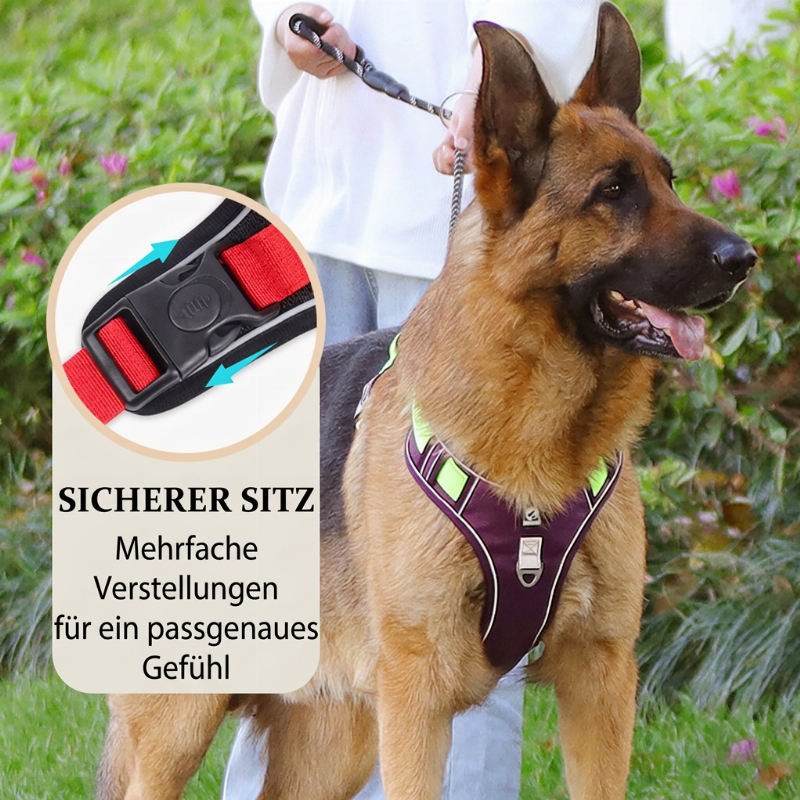 🐕 50% RABATT! ✨ Anti-Zug-Geschirr mit Leine für große & mittelgroße Hunde – reflektierend, gepolstert & bequem beim Gassi