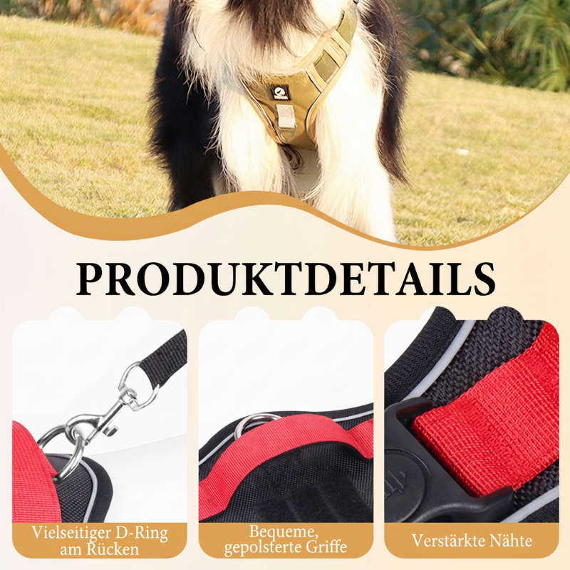 🐕 50% RABATT! ✨ Anti-Zug-Geschirr mit Leine für große & mittelgroße Hunde – reflektierend, gepolstert & bequem beim Gassi