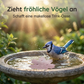 ⏳Zeitlich begrenztes Sonderangebot⏰Universell einsetzbarer Vogelbad-Reiniger