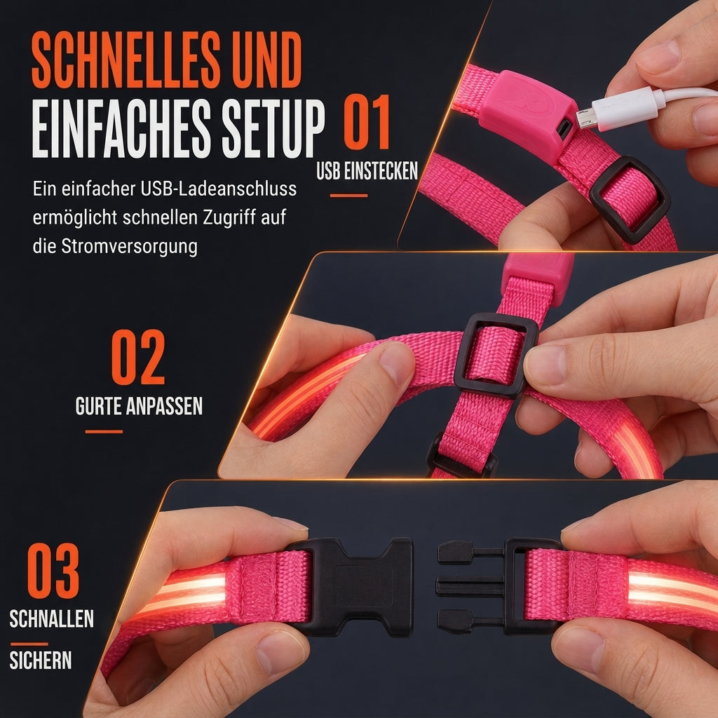 🐕 50 % Rabatt!! 💡LED-Hundeharness mit Leuchtfunktion für Spaziergänge bei Nacht